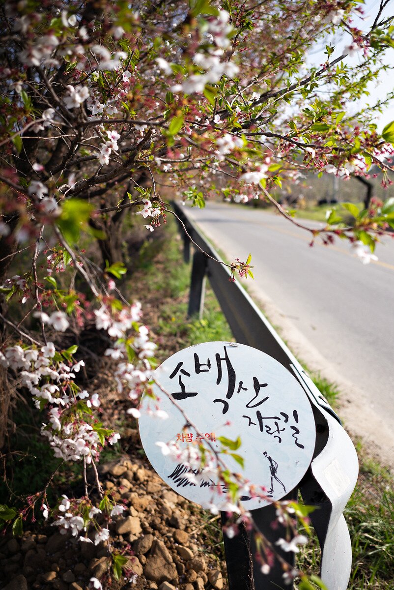본문 이미지 - 소백산자락길 표시