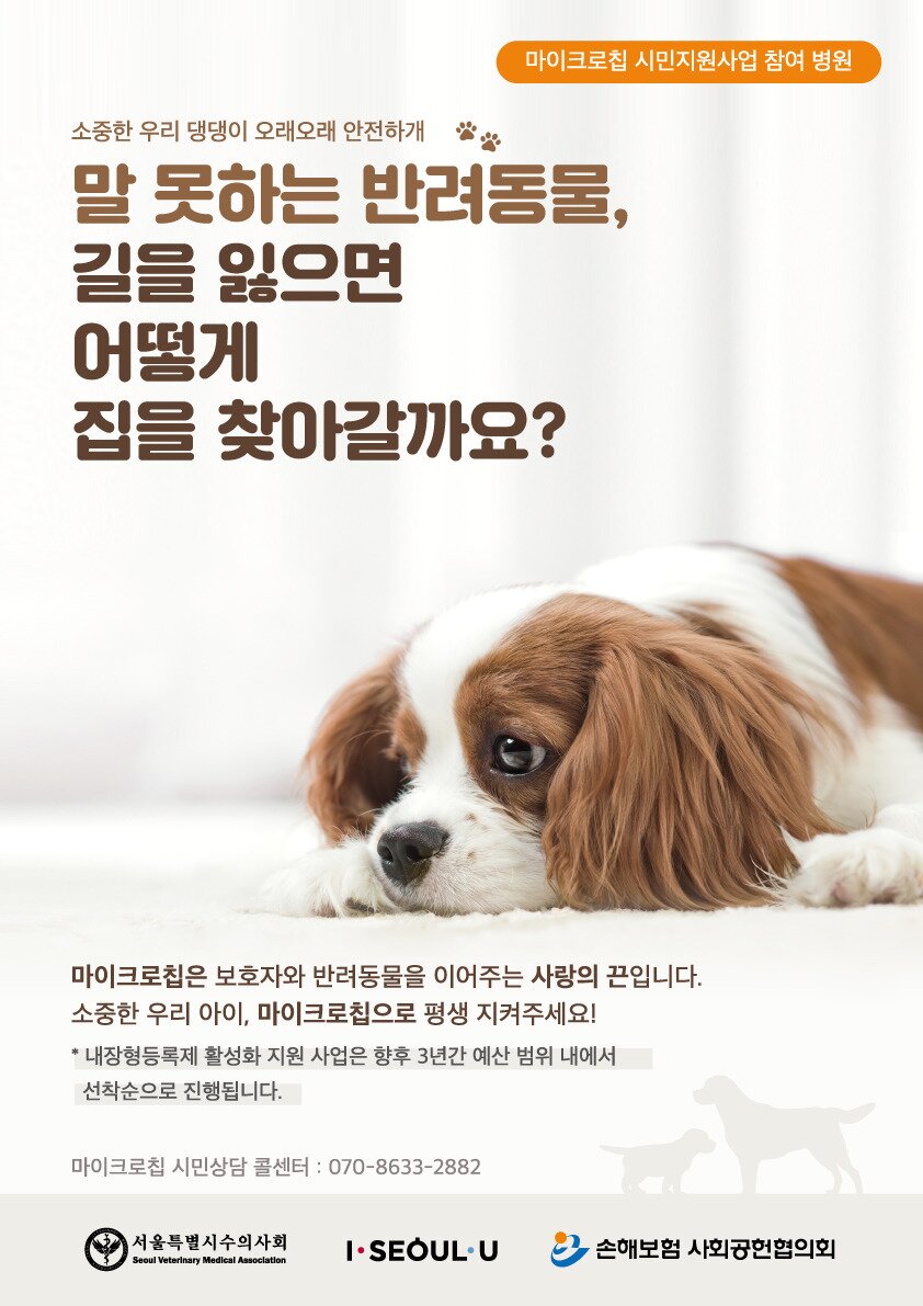 본문 이미지 - 사진 서울시수의사회 동물등록 캠페인 포스터 ⓒ 뉴스1