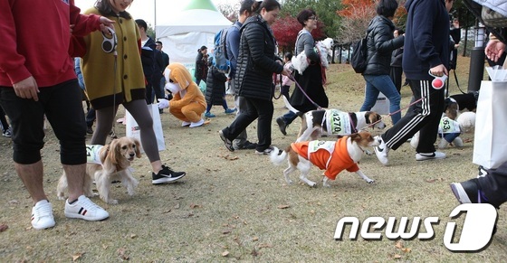강동구 '동물사랑걷기대회'가 오는 5월11일 개최된다. 사진 강동구청 제공 © 뉴스1