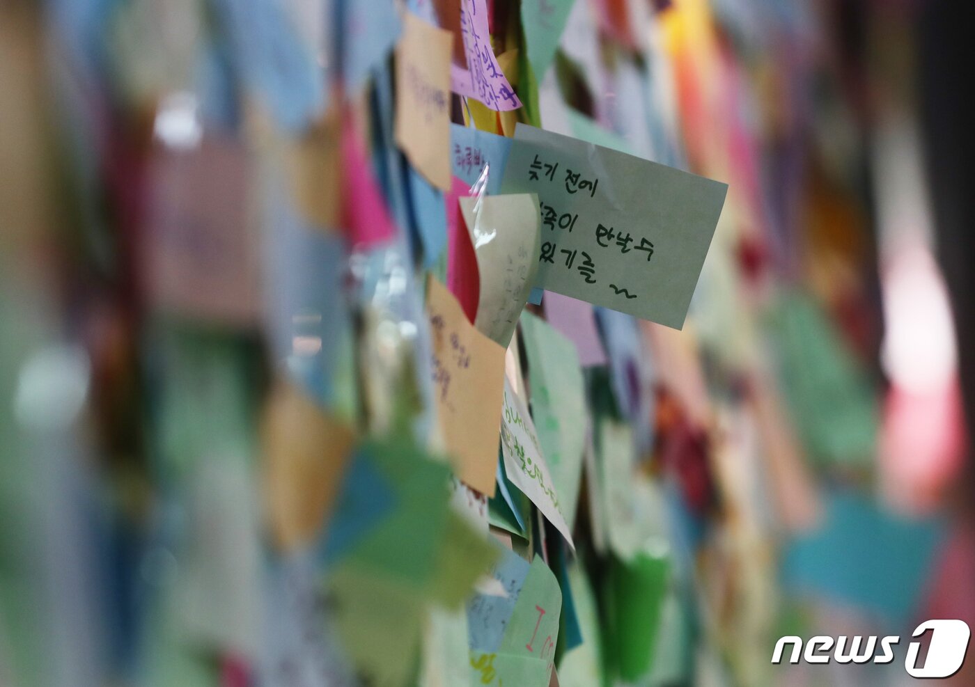 본문 이미지 - 이산가족 화상상봉장 개·보수 작업이 시작된 3일 서울 중구 소파로 대한적십자사에서 케이티(KT)관계자들이 이산가족 화상상봉 센터 개·보수 작업을 진행하고 있다. 2019.4.3/뉴스1 ⓒ News1 오대일 기자