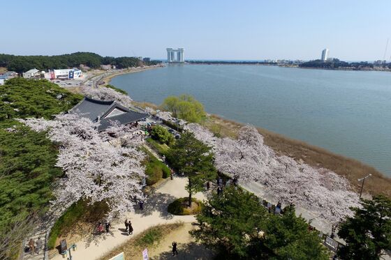 경포호에 '강릉형 i360' 대관람차 생기나…민간사업자 공모