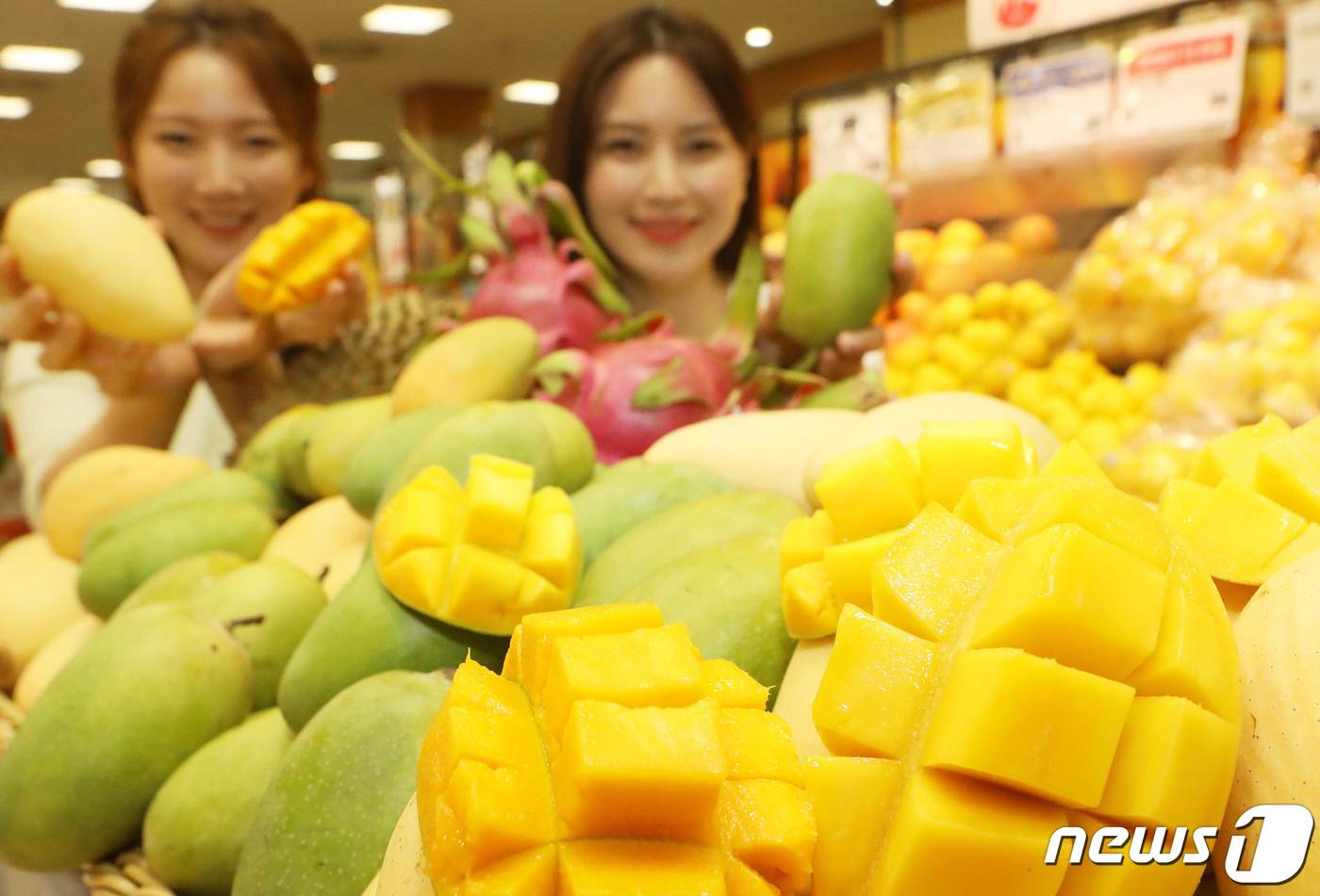 (서울=뉴스1) = 30일 오전 롯데마트 서울역점에서 모델이 열대과일 4종을 소개하고 있다.롯데마트는 오는 5월 2일부터 8일까지 동남아 열대과일 제철을 맞이해, ‘베트남 망고(2 …