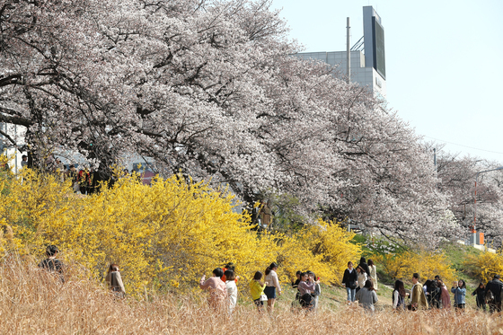 [오늘의 날씨] 충북·세종(5일, 일)…일교차 15도 안팎
