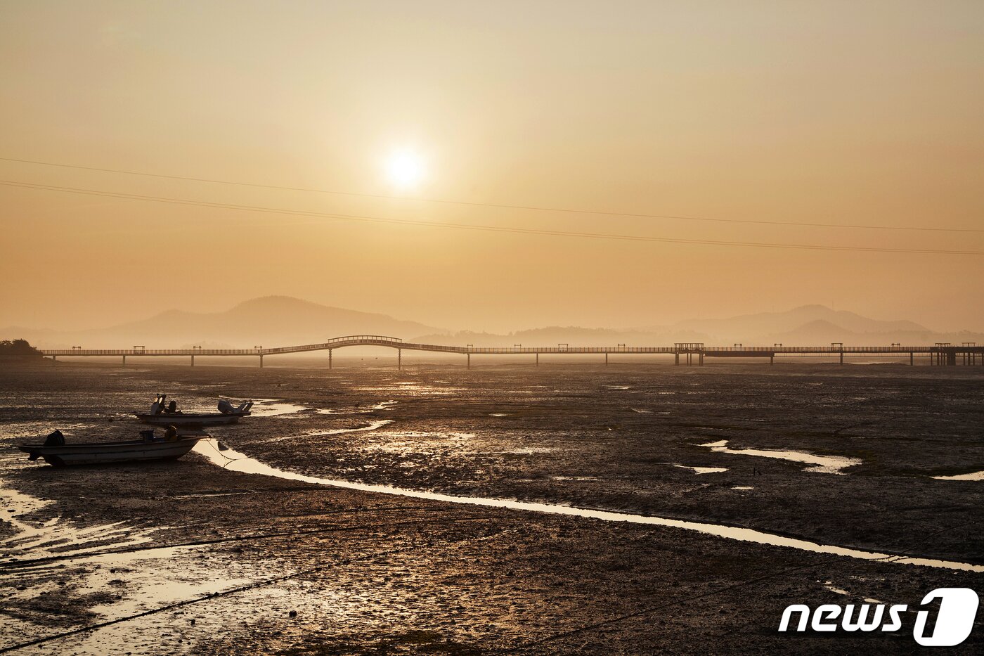 본문 이미지 - 신안 안좌도와 박지도, 반월도를 각각 연결하는 나무다리 '퍼플교'.(신안군 제공)/뉴스1