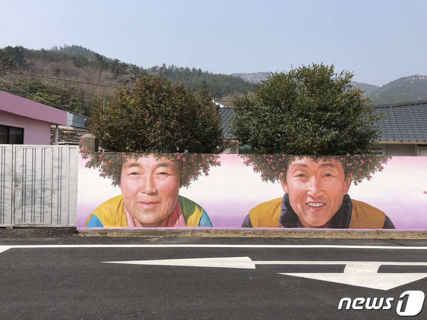 본문 이미지 - 천사대교가 개통된 전남 신안군 암태면의 기동삼거리 벽화가 관광객들의 눈길을 사로잡고 있다. 신안군 도서개발과는 볼거리 제공을 위해 담장 너머로 자란 동백나무와 어울려 이집 주인인 문병일씨(78) 내외의 얼굴 벽화를 그렸다.2019.4.6/뉴스1 ⓒ News1 박진규 기자