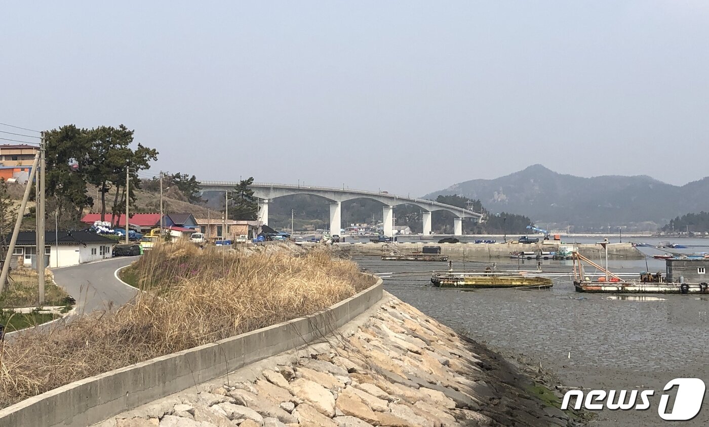 본문 이미지 - 암태도에서 바라본 은암대교. 이 다리를 건너면 자은도로 진입한다.2019.4.6/뉴스1 ⓒ News1 박진규 기자