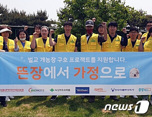 본문 이미지 - 한국수의임상포럼은 최근 벌교 개농장에서 구조된 개들의 수의료 지원을 실시했다. 사진 KBVP 제공 ⓒ 뉴스1