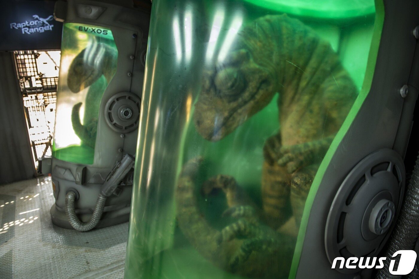 본문 이미지 - 에버랜드 제공 ⓒ News1 김평석 기자