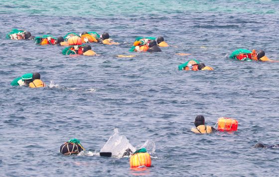 제주도, 씨 말라가는 홍해삼 등 수산종자 60만마리 방류