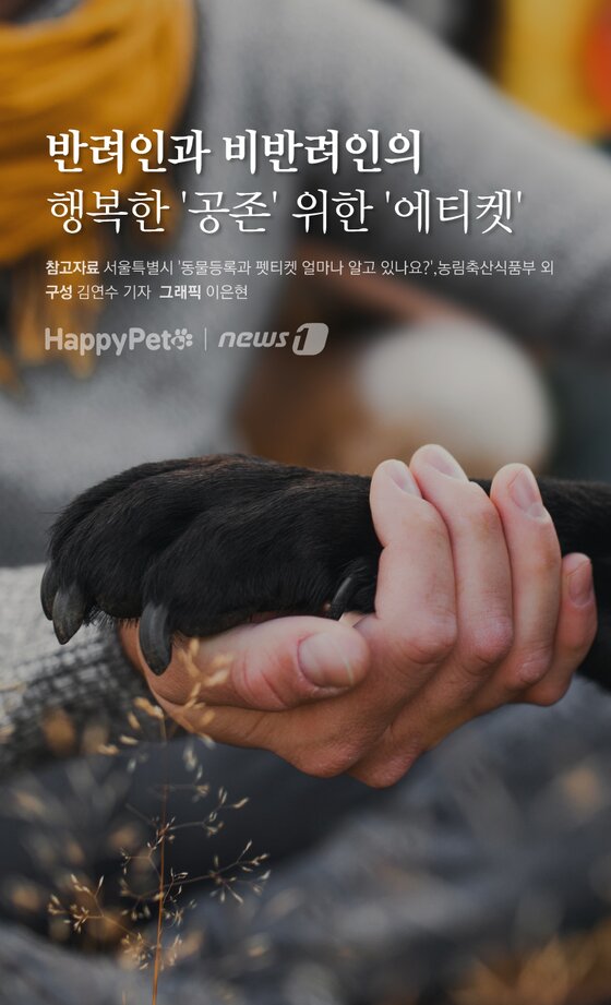 본문 이미지 -  