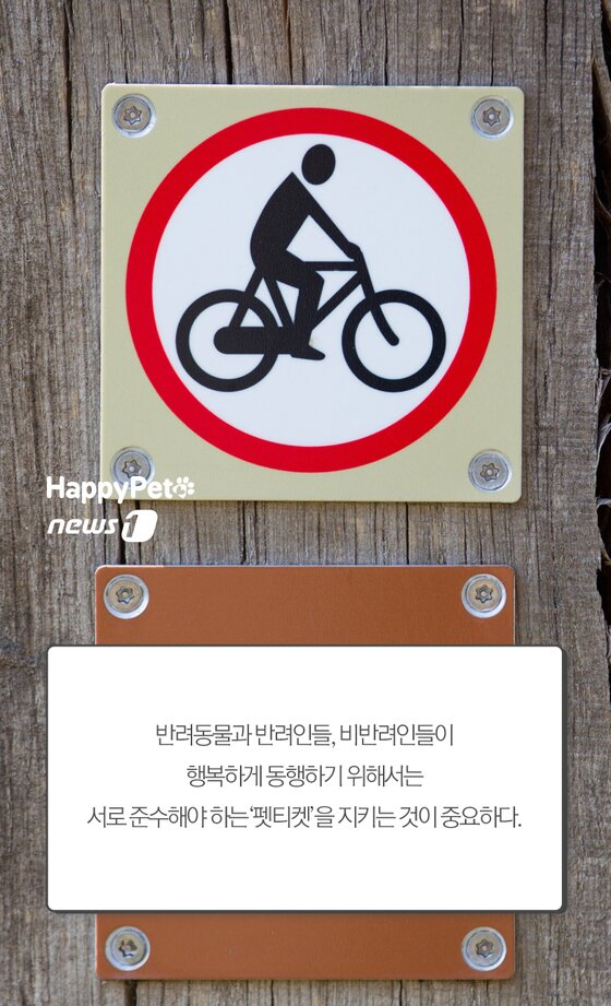 본문 이미지 -  