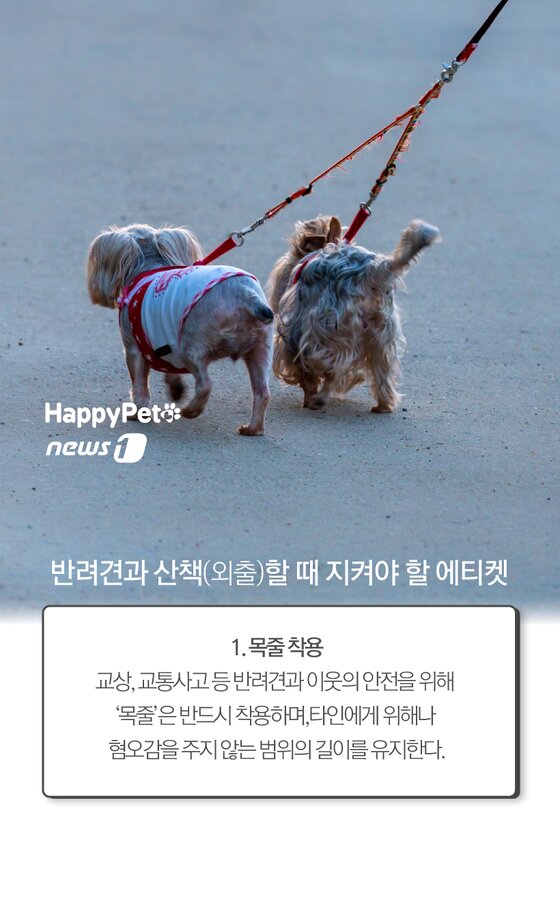 본문 이미지 -  