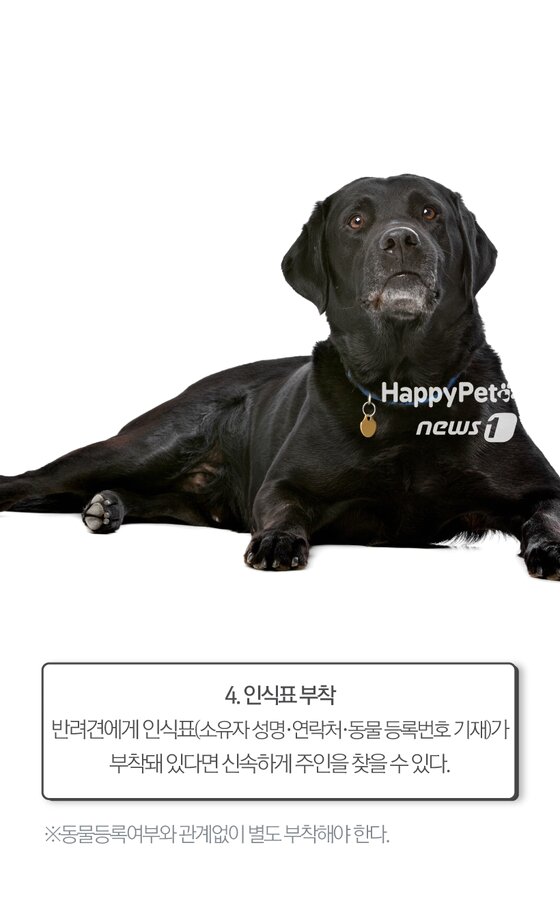 본문 이미지 -  