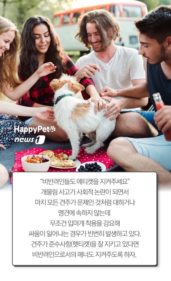 본문 이미지 -  