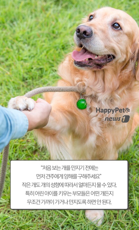 본문 이미지 -  