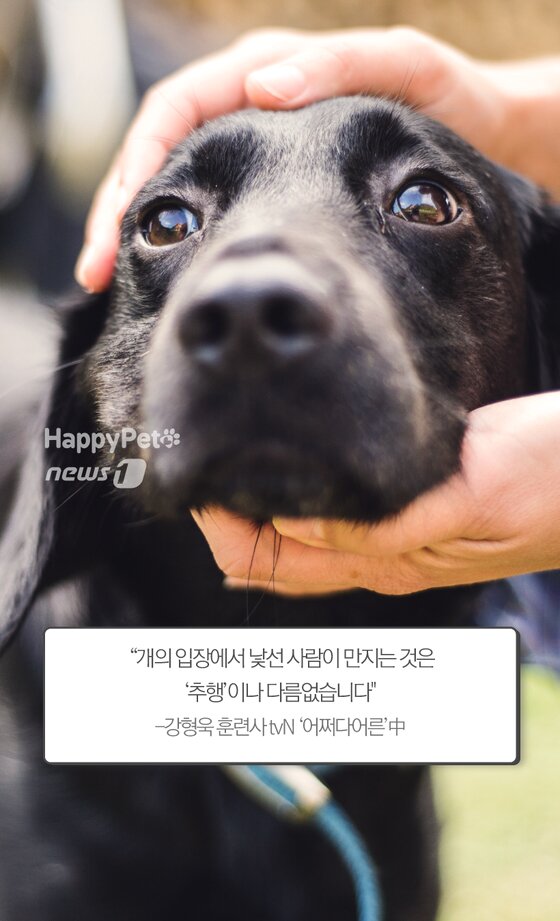 본문 이미지 -  