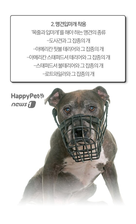본문 이미지 -  