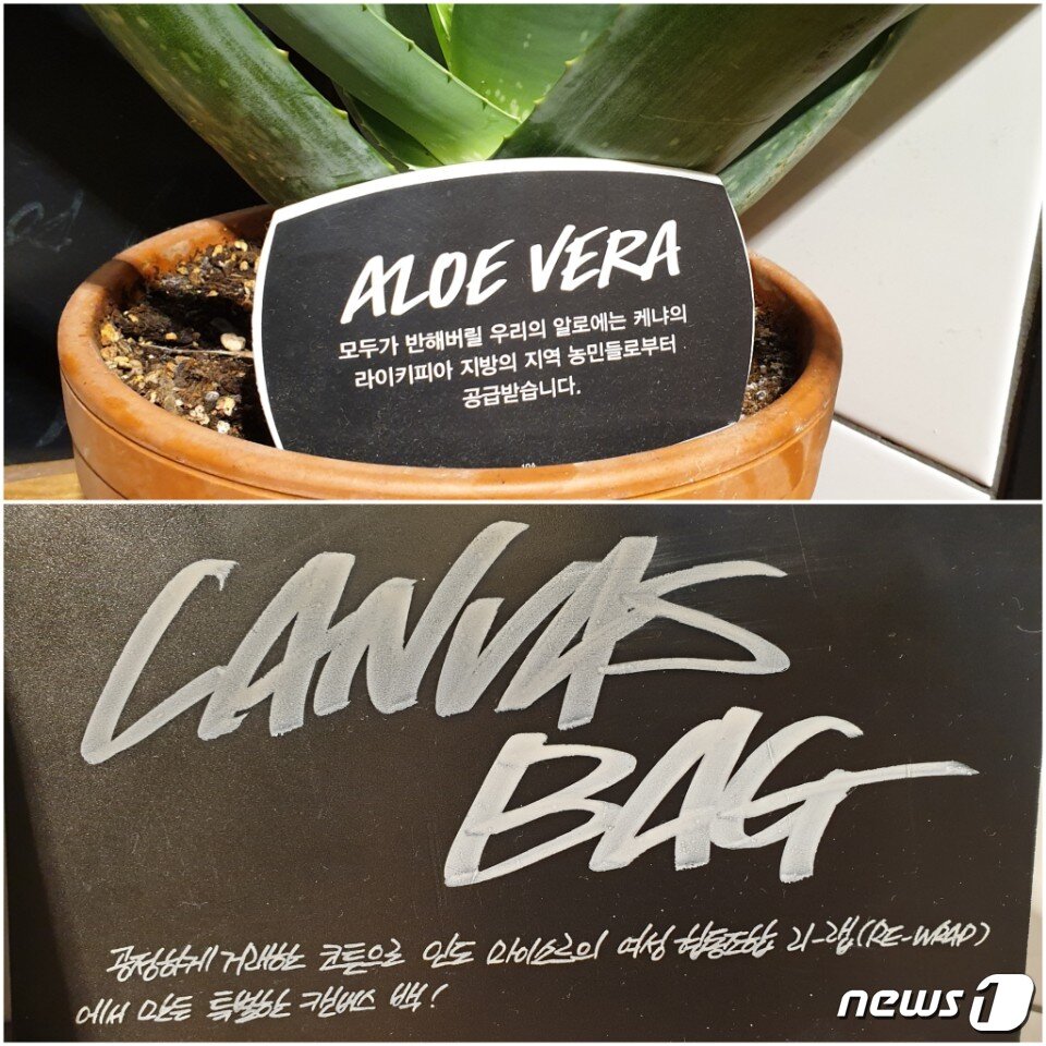 본문 이미지 - ⓒ 뉴스1