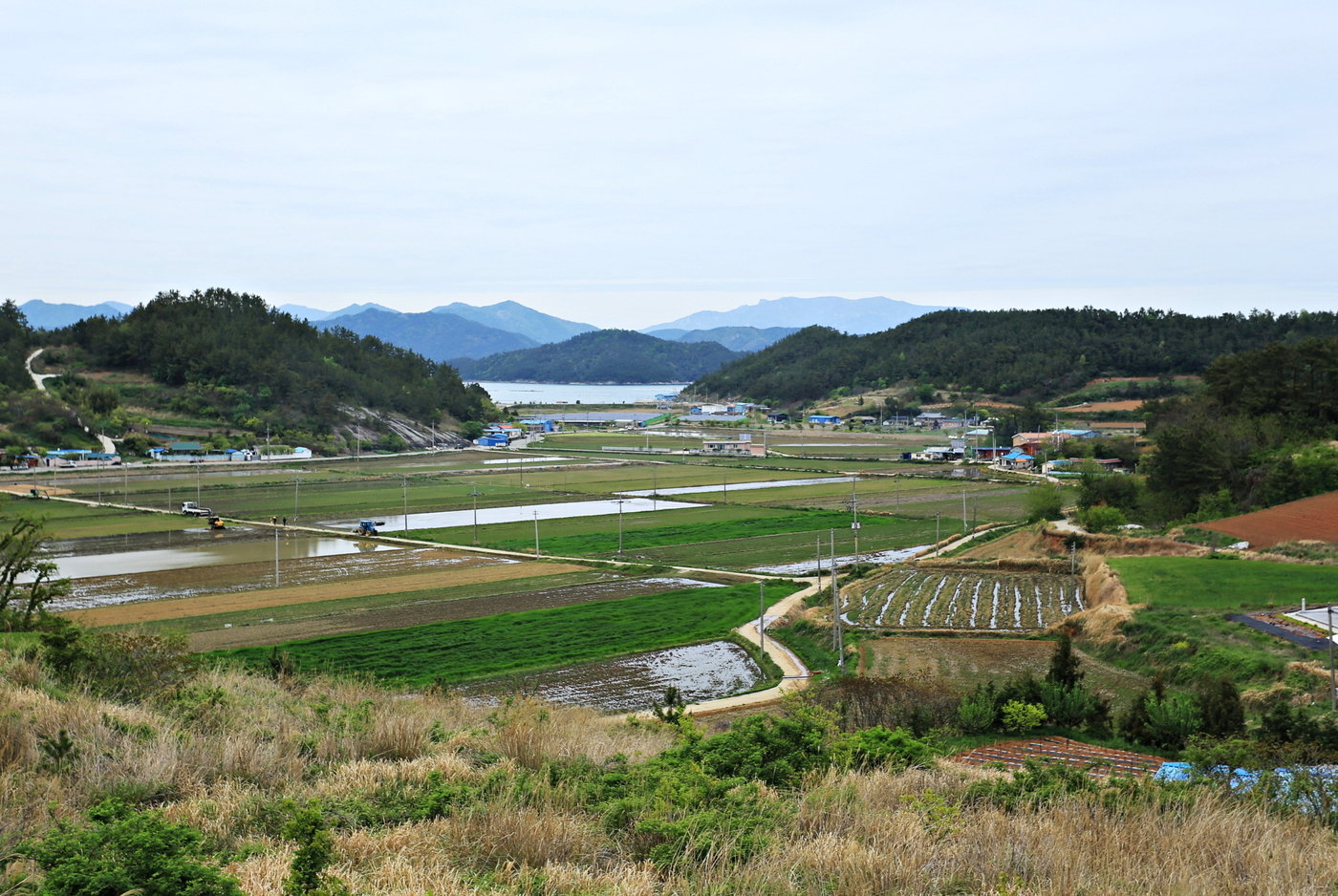 본문 이미지 - 농촌과 어촌 풍경이 어우러진 고금도
