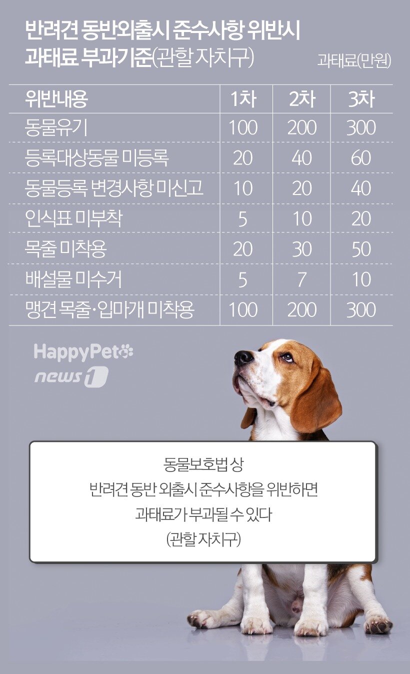 본문 이미지 -  