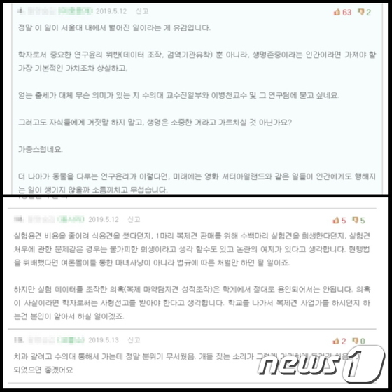 서울대학교 학생들의 커뮤니티 사이트 캡처© 뉴스1
