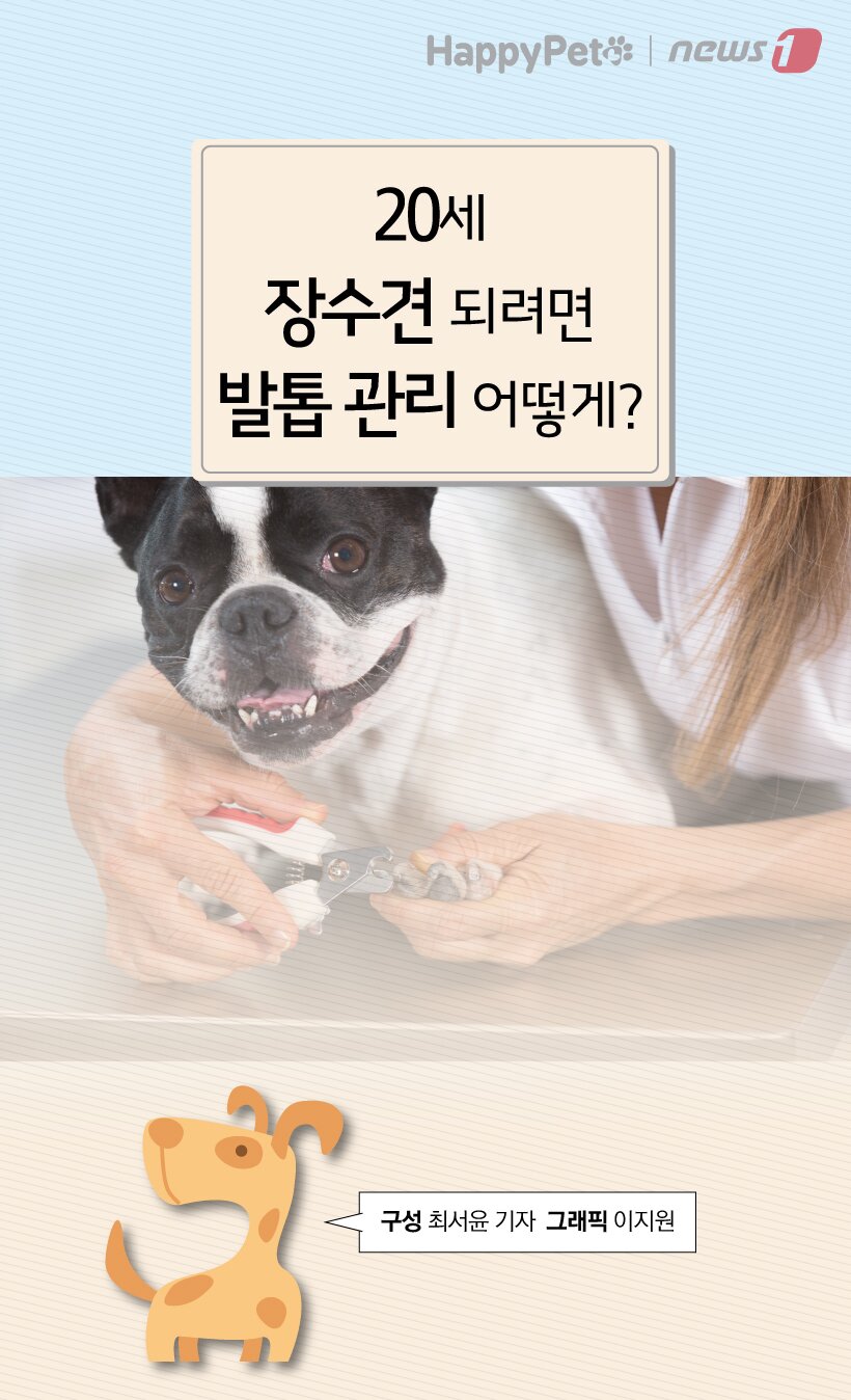 본문 이미지 -  