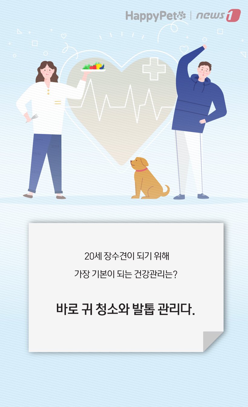 본문 이미지 -  