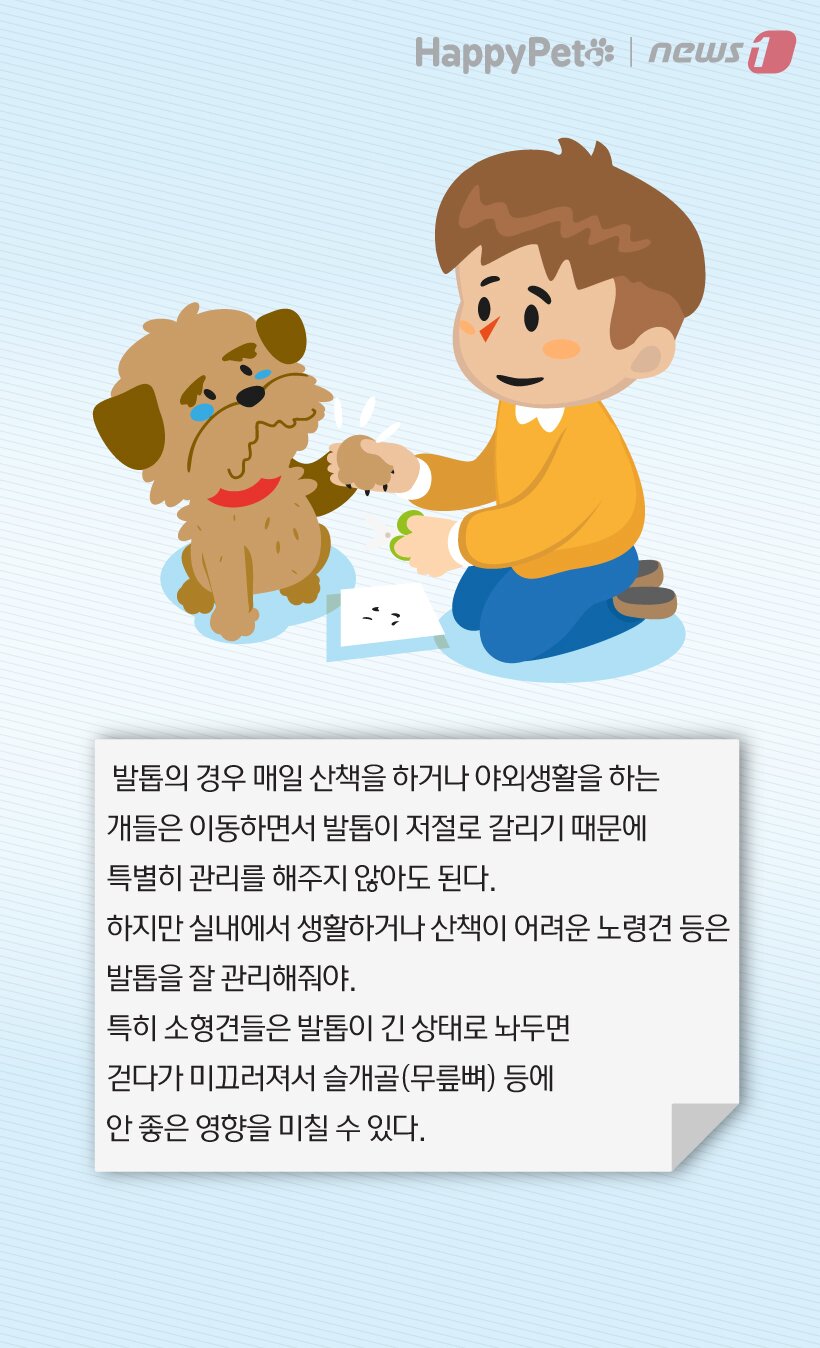 본문 이미지 -  