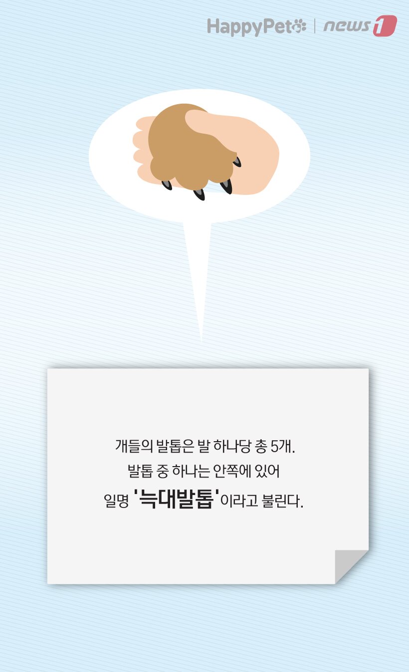본문 이미지 -  