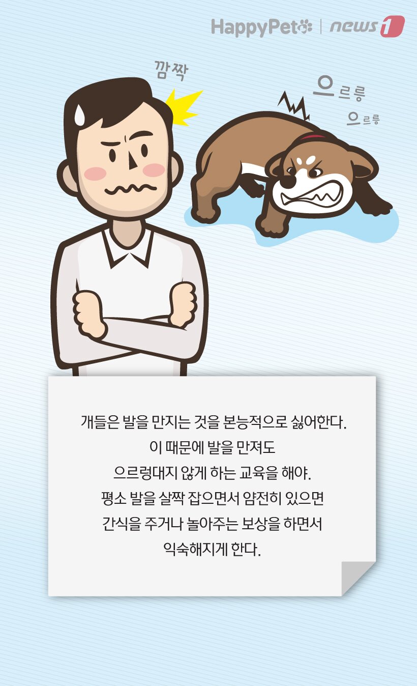 본문 이미지 -  