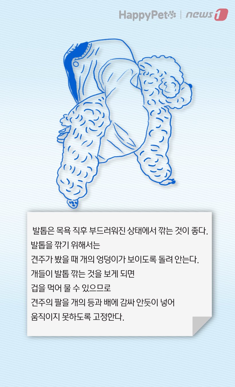 본문 이미지 -  