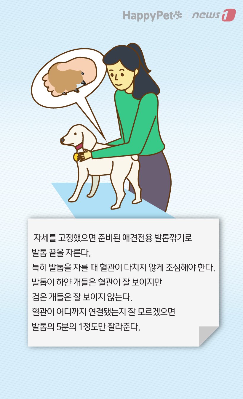 본문 이미지 -  