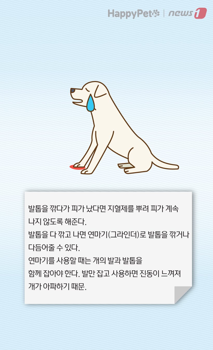 본문 이미지 -  
