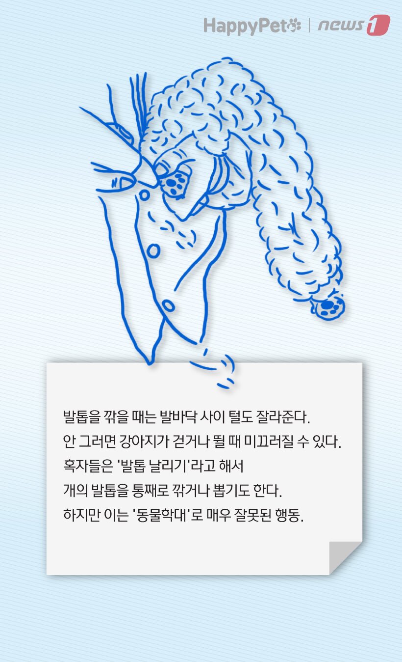 본문 이미지 -  