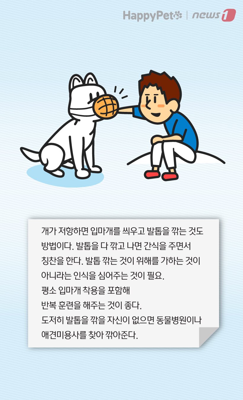 본문 이미지 -  