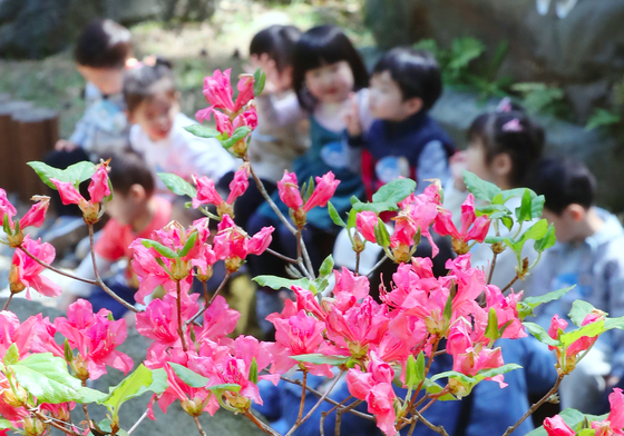 "다 함께 꽃밭에서 신선놀음을"…25~26일 제주 방선문 축제