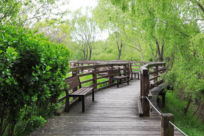 본문 이미지 - 강서구 강서습지생태공원 데크 탕방로