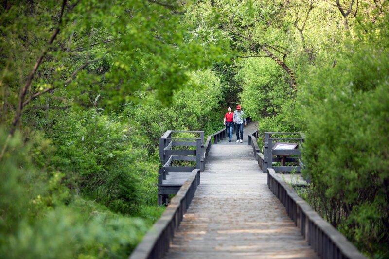 본문 이미지 - 강동구 길동생태공원 데크 탐방로