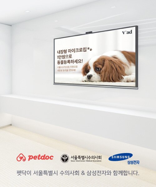 본문 이미지 - 사진 브이애드 ⓒ 뉴스1