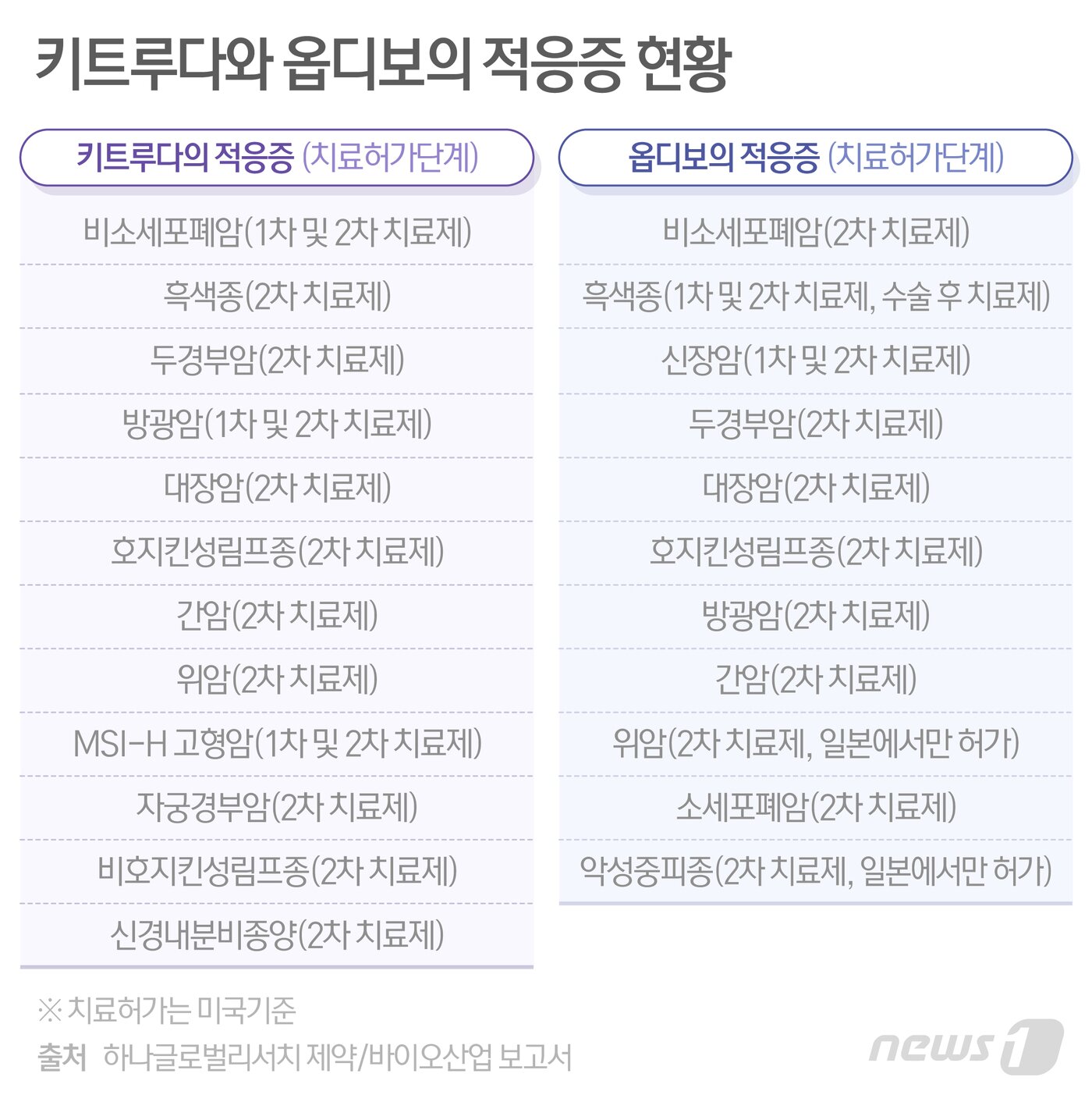 본문 이미지 - ⓒ News1 최수아 디자이너