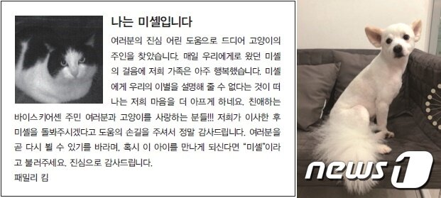 본문 이미지 - 김은수 한화갤러리아 대표가 처음 밥을 준 길고양이 미셸과 보호소에서 입양한 강아지 해피. ⓒ 뉴스1