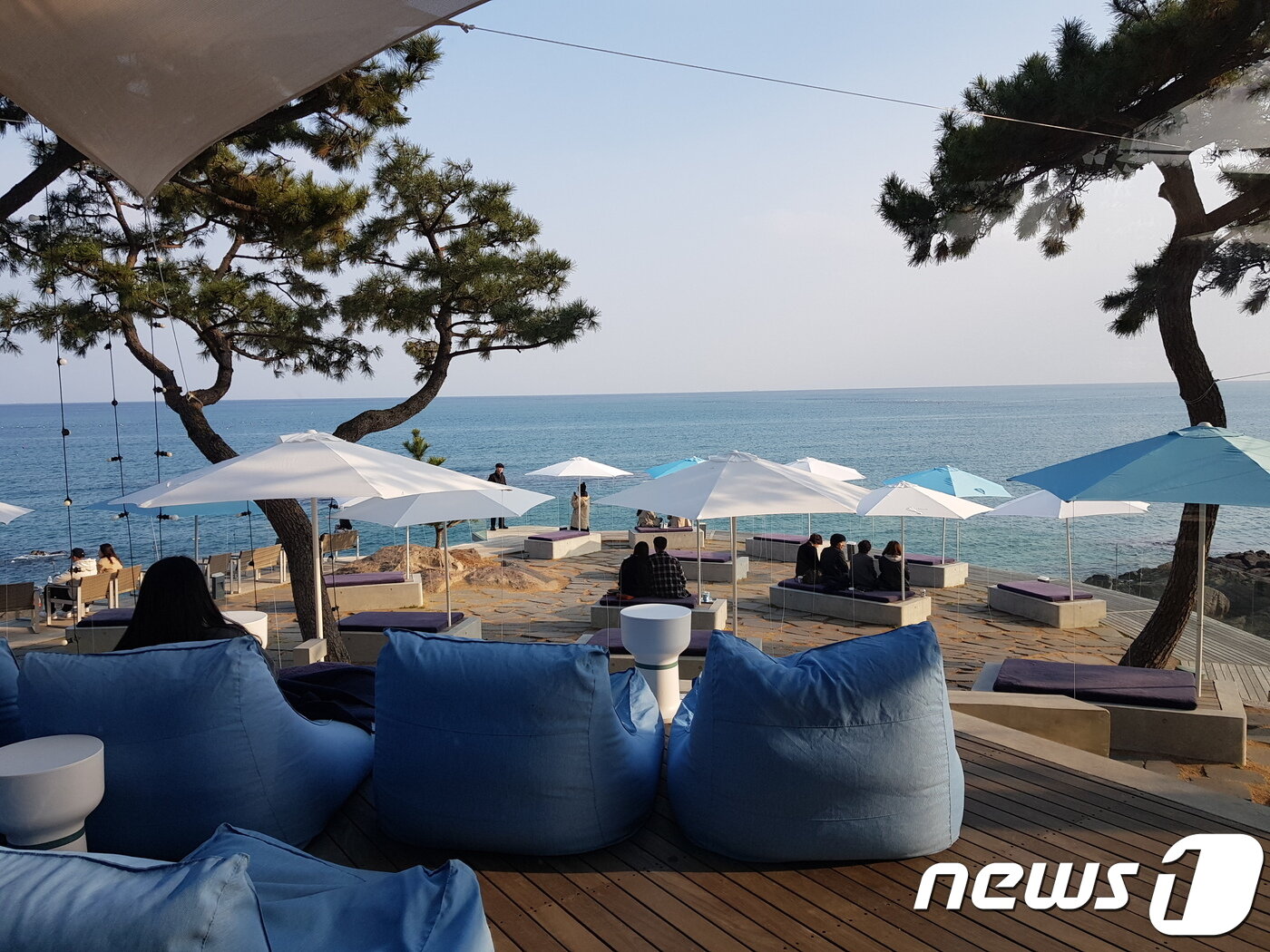 본문 이미지 - 부산 기장군에 위치한 웨이브온 카페 전경 (부산시 제공) ⓒ 뉴스1