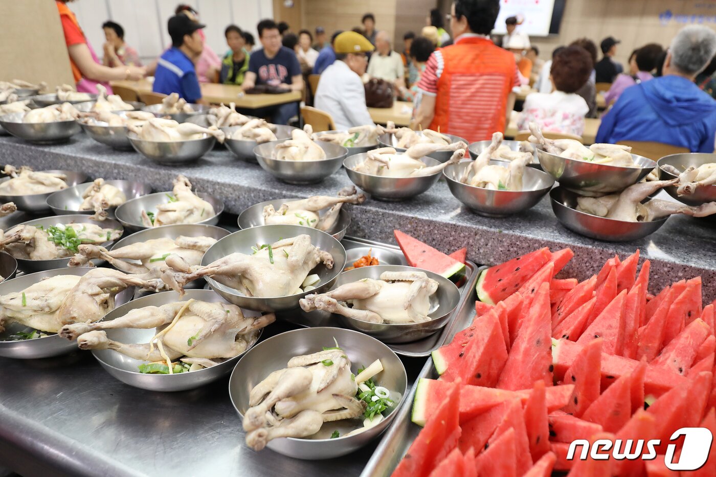 본문 이미지 - 20일 대구 서구 원대동 서구제일종합사회복지관에서 지역 어르신을 초청해 점심으로 삼계탕과 수박을 대접하고 있다. 2019.6.20/뉴스1 ⓒ News1 공정식 기자