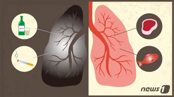 본문 이미지 - ⓒ News1 DB