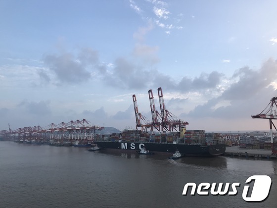 6월23일 중국 상해 양산터미널에 접안 중인 MSC 선사 소속 선박. © 뉴스1 조재현 기자