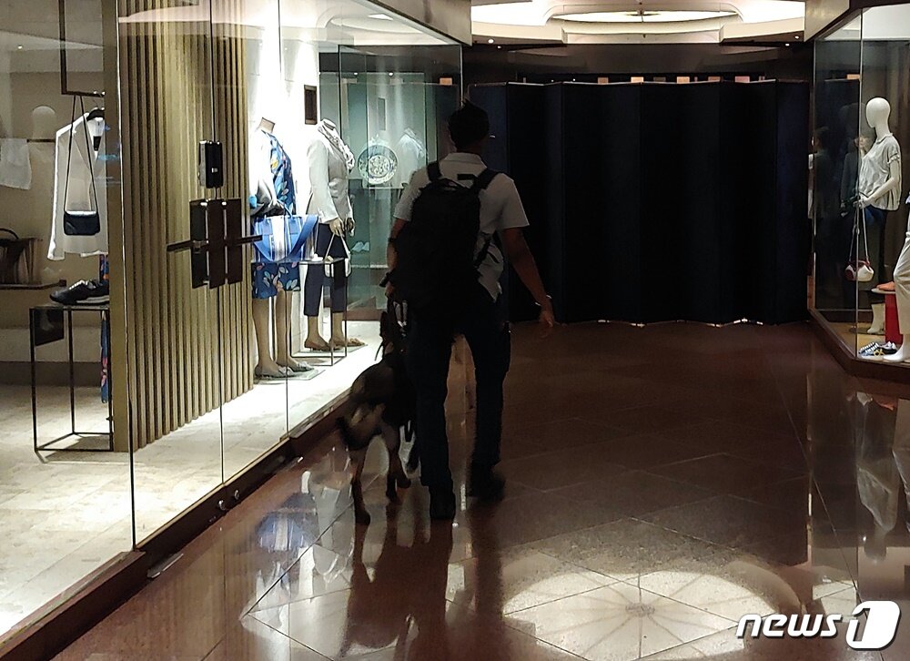 본문 이미지 - 30일 그랜드하얏트서울 호텔에서 정찰 중인 저먼 셰퍼드 품종의 개. ⓒ 뉴스1