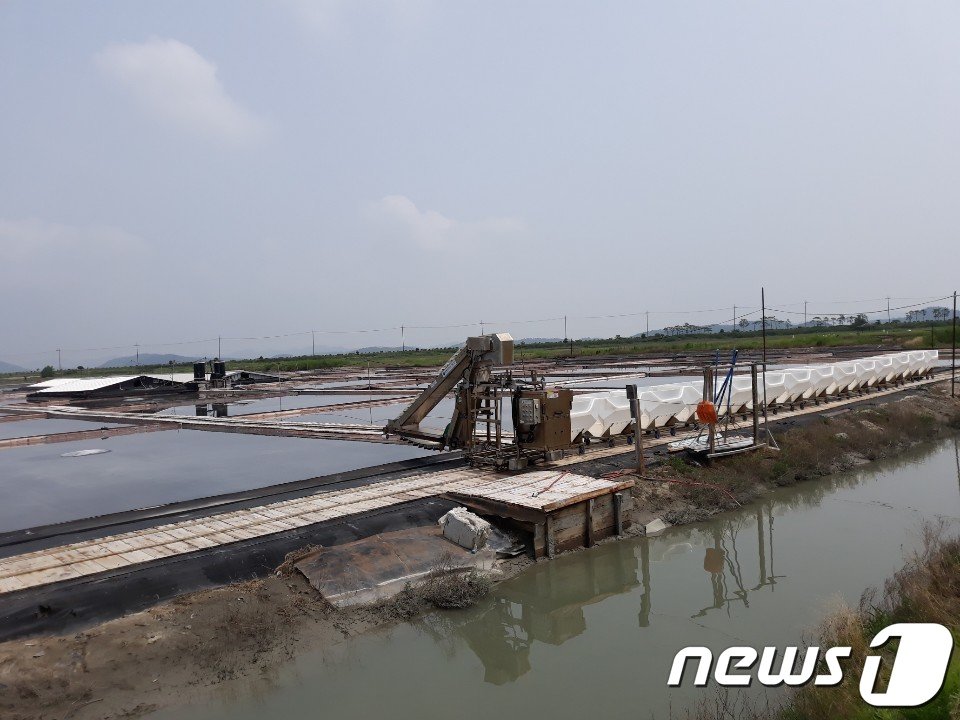 본문 이미지 - 전남 신안군 증도면 태평염전/뉴스1 ⓒ News1 