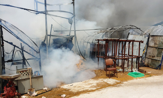 영천 고경면 양계장서 열풍기 과열로 불…병아리 3500수 폐사