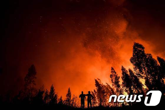 [사진] 무서운 기세로 확산되는 포르투갈 산불