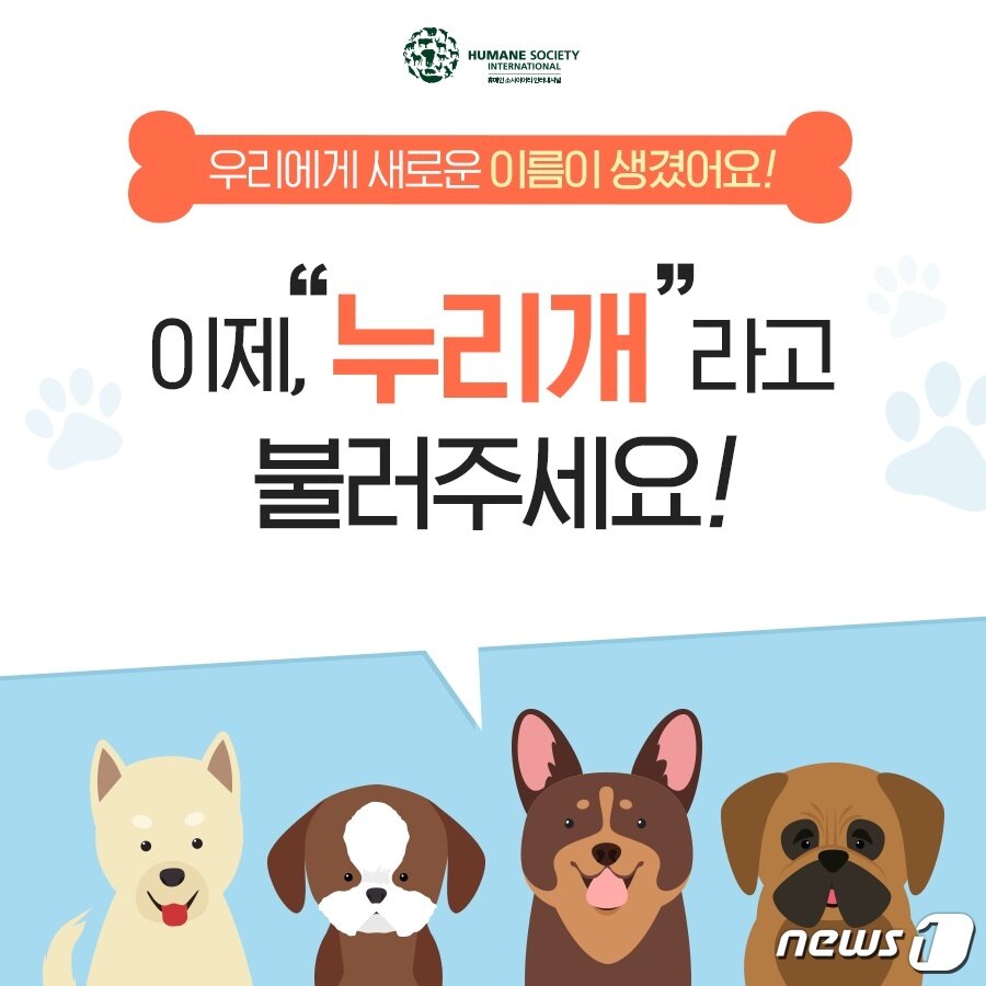 본문 이미지 - '식용개'의 새로운 이름 '누리개' ⓒ 뉴스1
